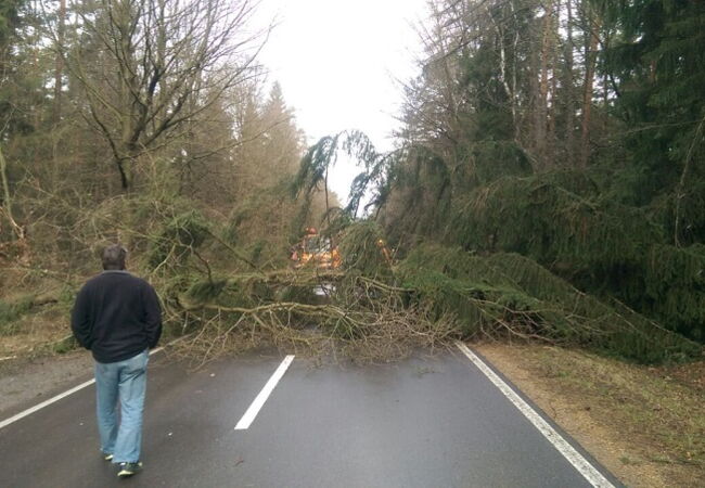 Sturmschaden