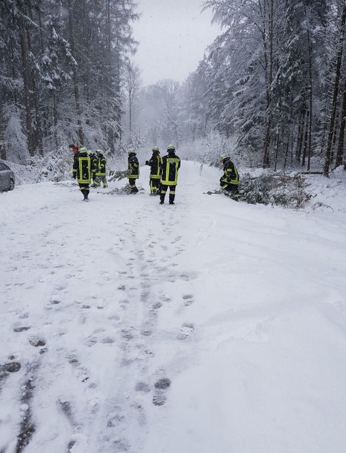 Schnell war der Baum von der Fahrbahn beseitigt