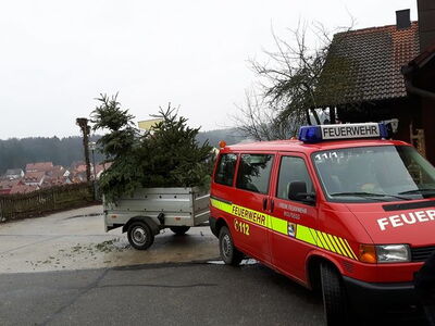 Christbaumsammelaktion