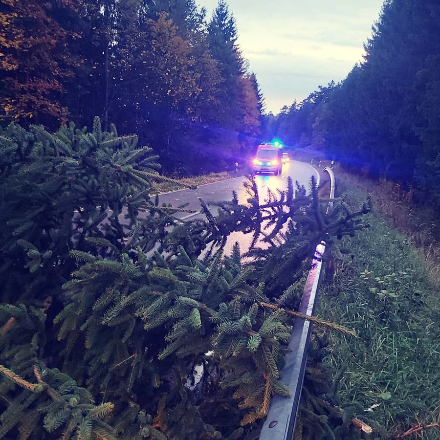 Baum auf Fahrbahn, R39